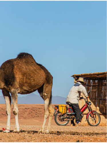 3 Days Sahara Desert Tour